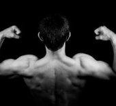 Are You Feeding Your Muscles Optimally?